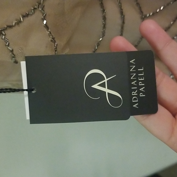 Adrianna Papell Women's Blouson Beaded Gown - Picture 9 of 11